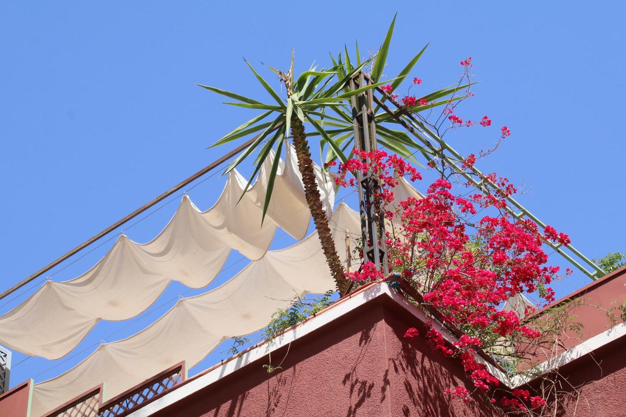 Riad Celia Marrakesh Bagian luar foto